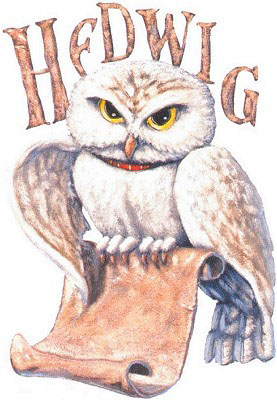 Die Harry Potter Schatztruhe - Harry Potter Bilder