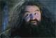 Rubeus Hagrid
